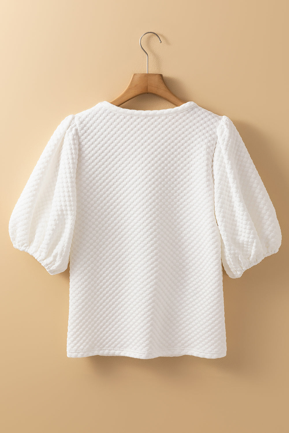 Phalaenopsis Solid Textured O Neck Puff Sleeve Blouse