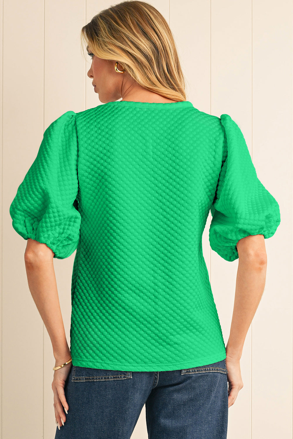 Phalaenopsis Solid Textured O Neck Puff Sleeve Blouse