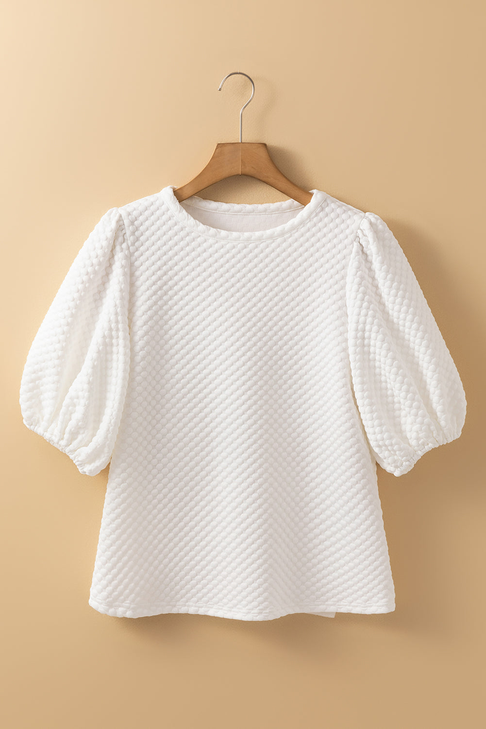 Phalaenopsis Solid Textured O Neck Puff Sleeve Blouse