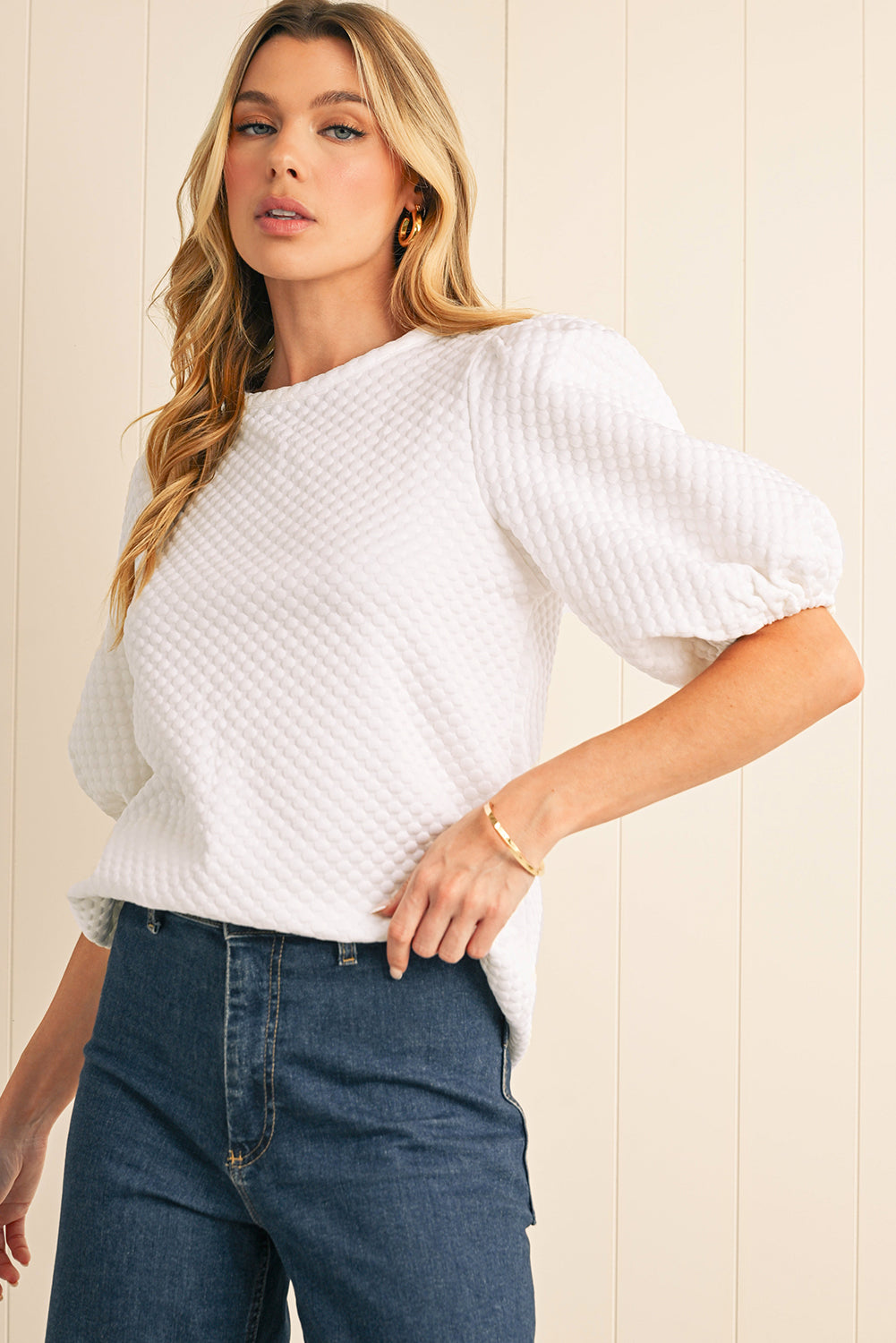 Phalaenopsis Solid Textured O Neck Puff Sleeve Blouse