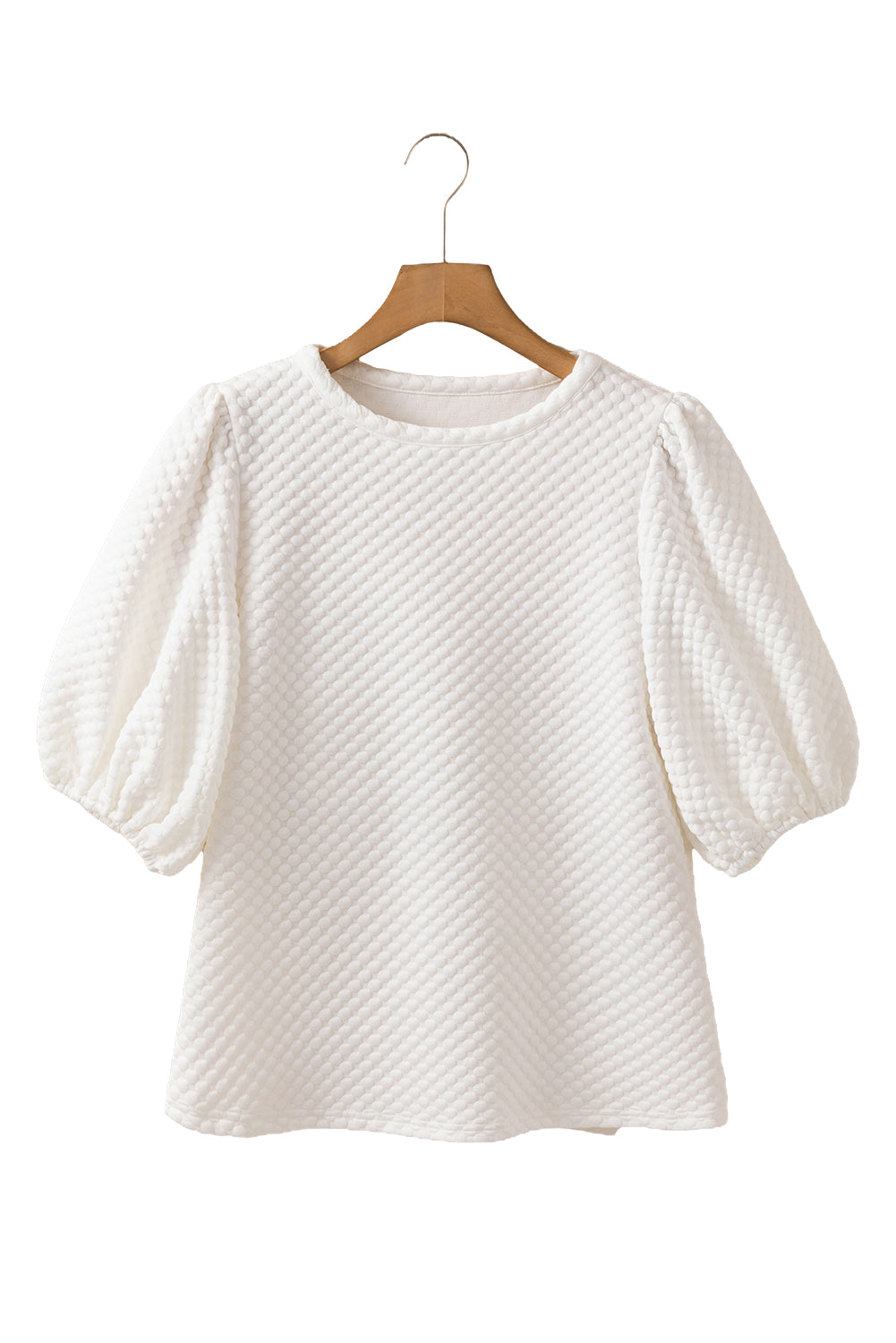 Phalaenopsis Solid Textured O Neck Puff Sleeve Blouse