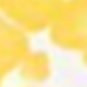 Black White Leopard Animal & Tropical Print Raglan Cap Sleeve Top Shirt Blouse | S-3X