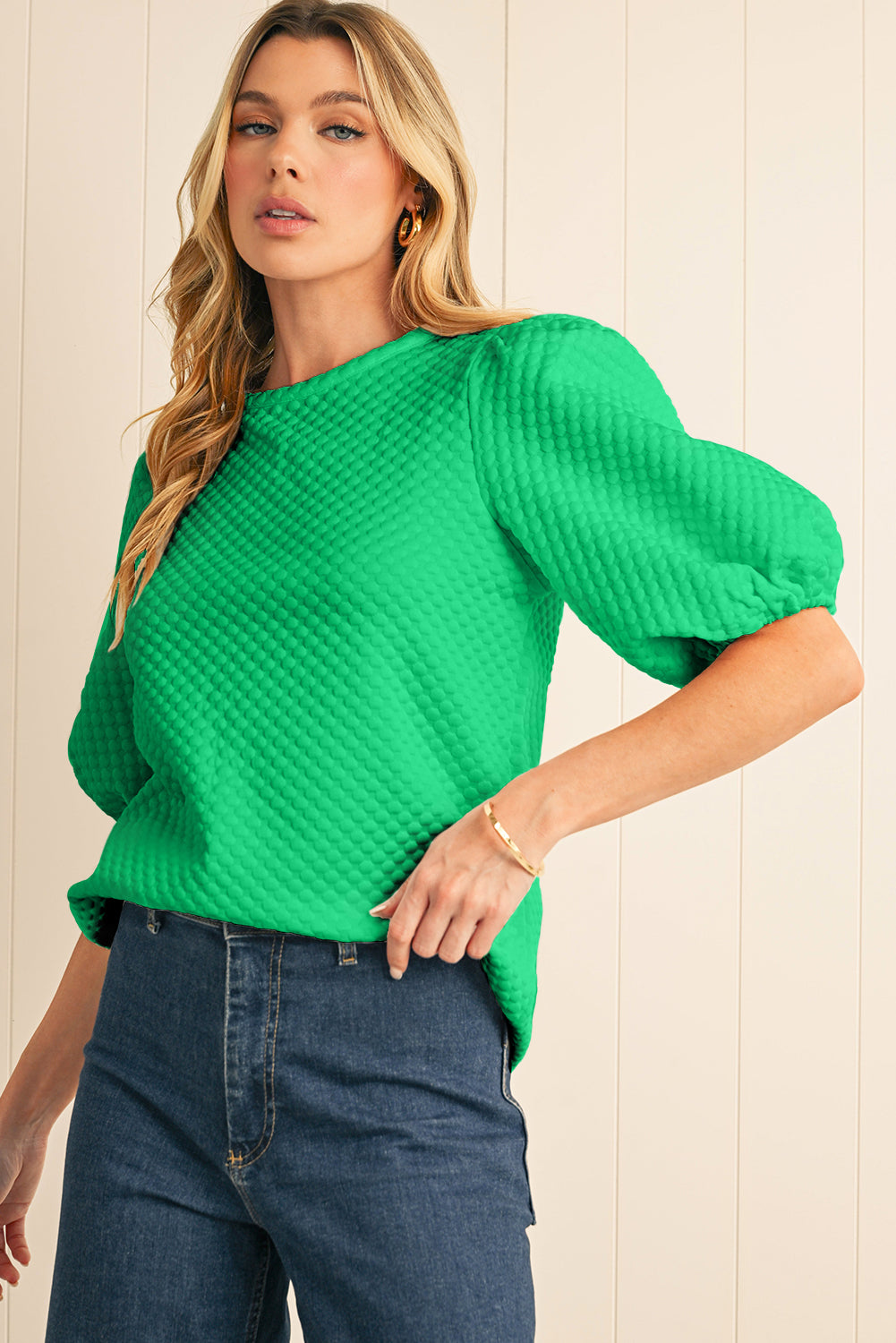 Phalaenopsis Solid Textured O Neck Puff Sleeve Blouse