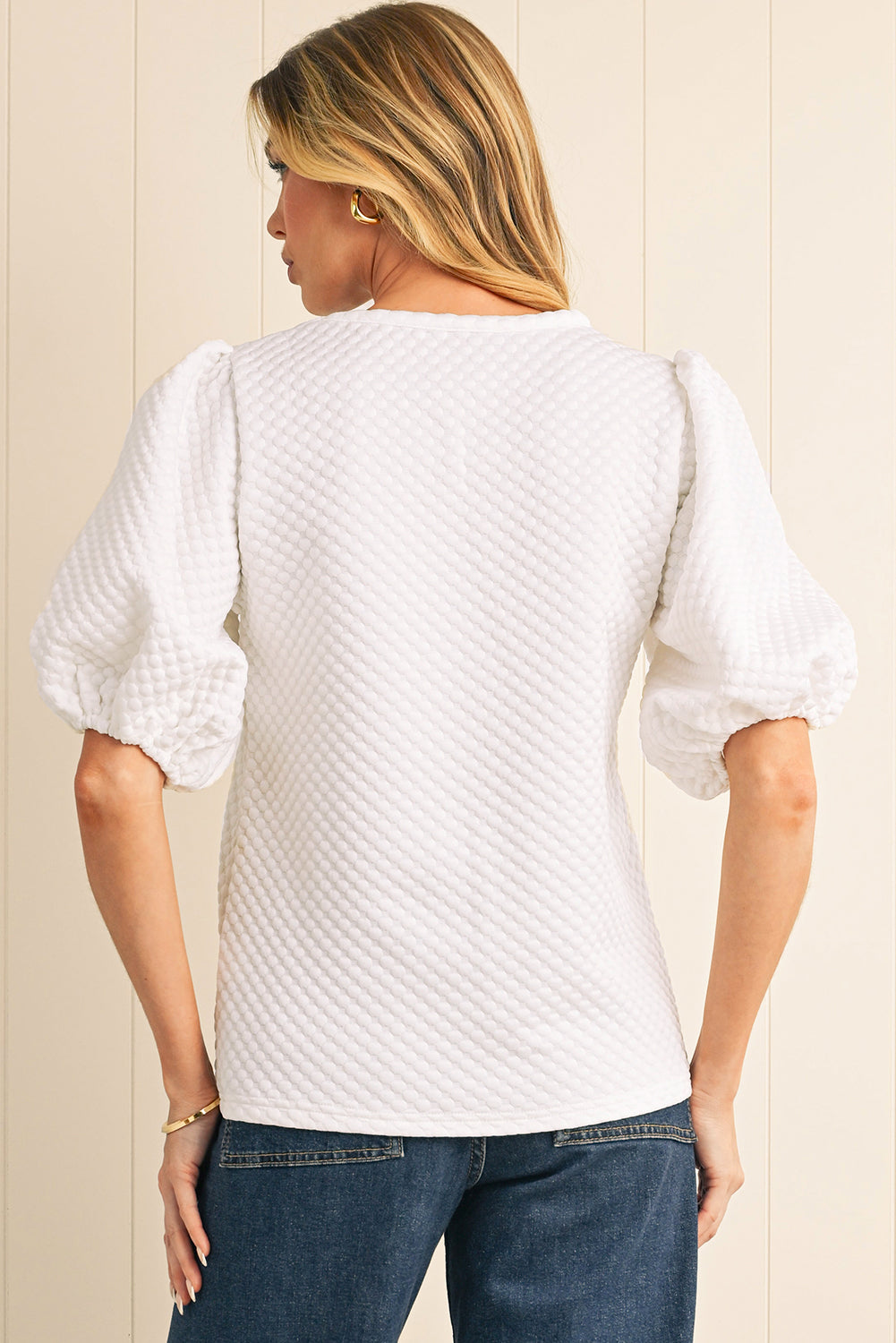 Phalaenopsis Solid Textured O Neck Puff Sleeve Blouse