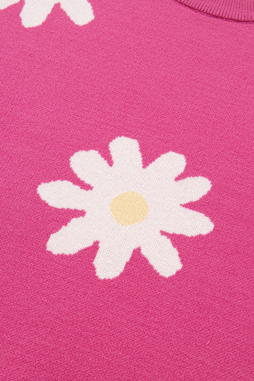 Bright Pink Daisy Ribbed Hem Sweater